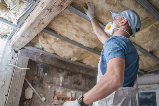Best Specialized Insulation Services in Mcgovern, PA