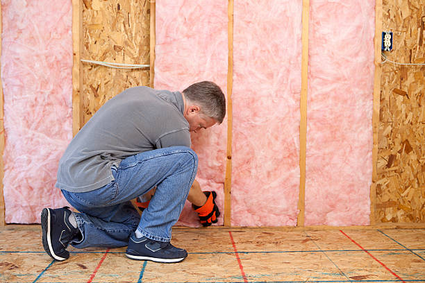 Best Cellulose Insulation in Mcgovern, PA